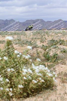 media/Apr-05-2024-Apex Assassins-CVMA Friday Practice (Fri) [[ee2ef04f2b]]/5-Trackday 1/Session 4 (Turn 9 Flowers)/